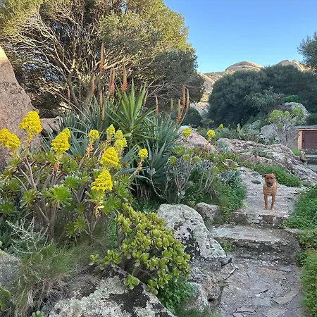 Holiday home L'olivastro 1 Porto Cervo