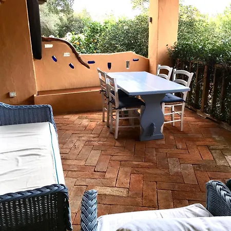L'olivastro A
