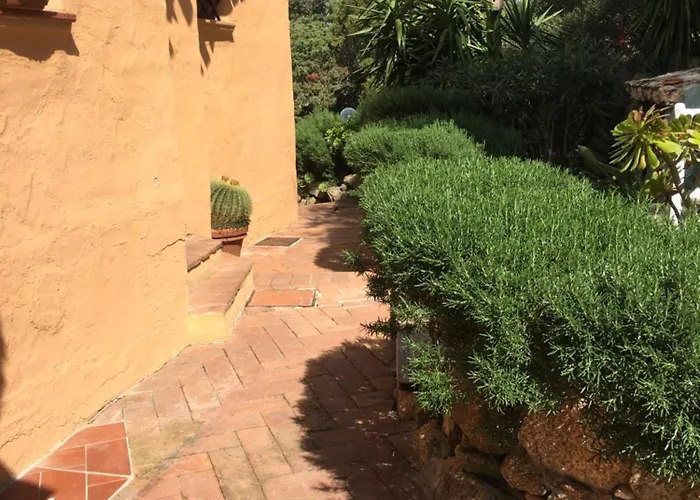 L'olivastro 1 Porto Cervo