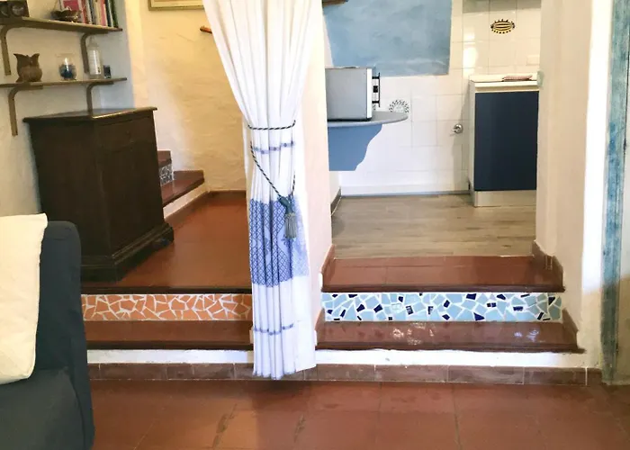 L'olivastro 1 * Porto Cervo