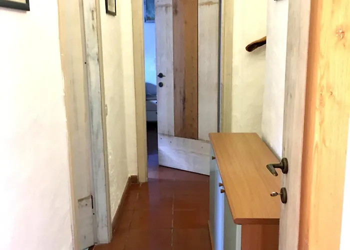 L'olivastro 1 * Porto Cervo