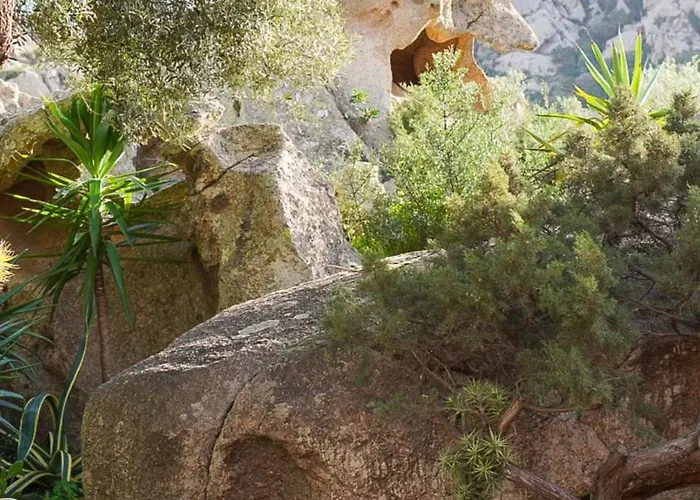 L'olivastro 1 * Porto Cervo