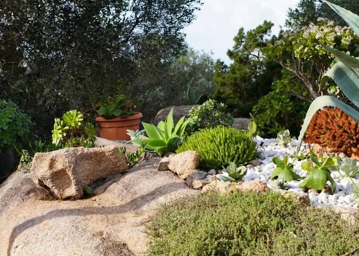 Holiday home L'olivastro 1