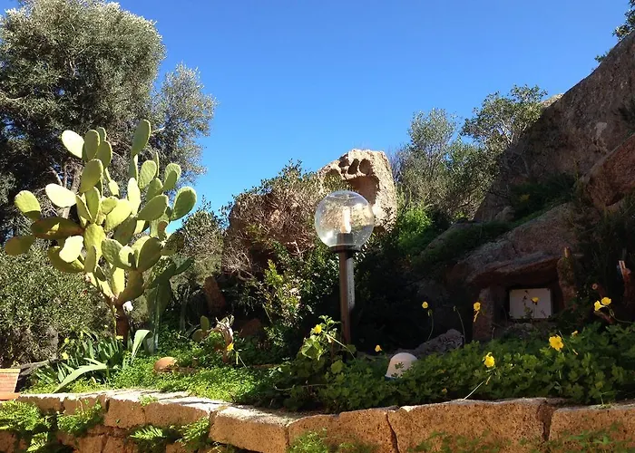 L'olivastro 1 Porto Cervo