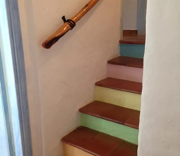 Holiday home L'olivastro 1