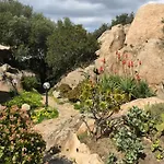 L'olivastro 1 Porto Cervo