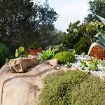 Tatil Evi L'olivastro 1