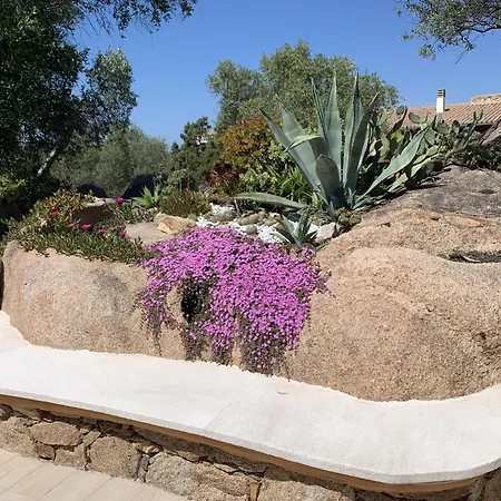 Σπίτι διακοπών L'olivastro A Πόρτο Τσέρβο