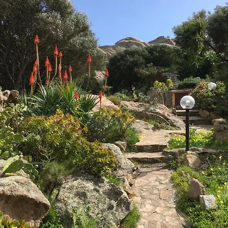 L'olivastro 1 * Porto Cervo