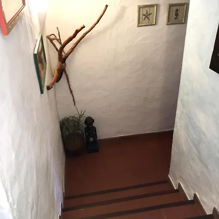 L'olivastro A Πόρτο Τσέρβο