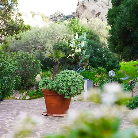 L'olivastro 1 Holiday home *