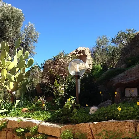 L'olivastro A Πόρτο Τσέρβο