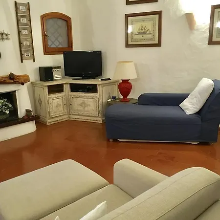L'olivastro