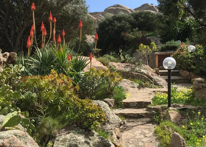 L'olivastro A * 포르투 세르보