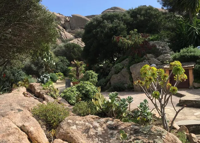 L'olivastro A 펜션