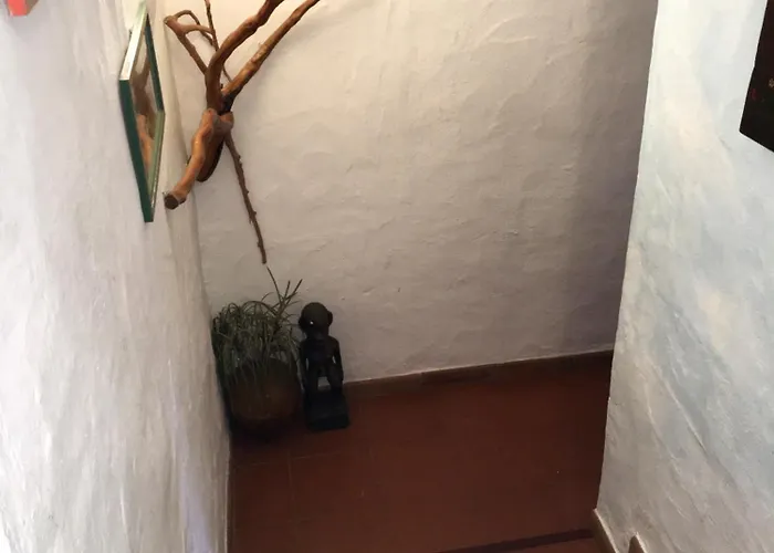 L'olivastro A 포르투 세르보