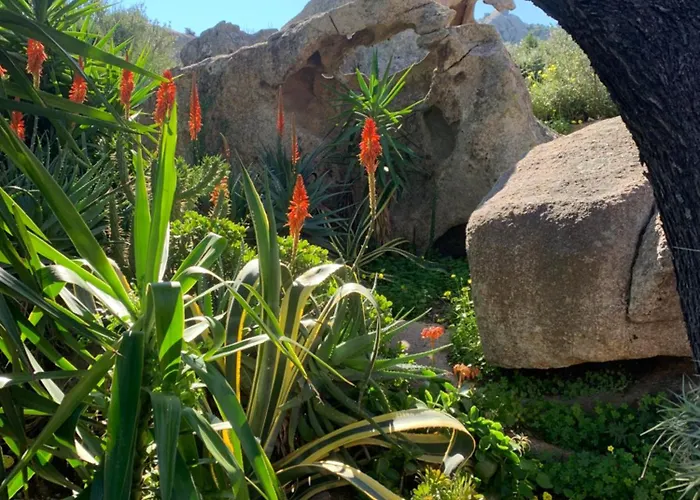 L'olivastro A 펜션