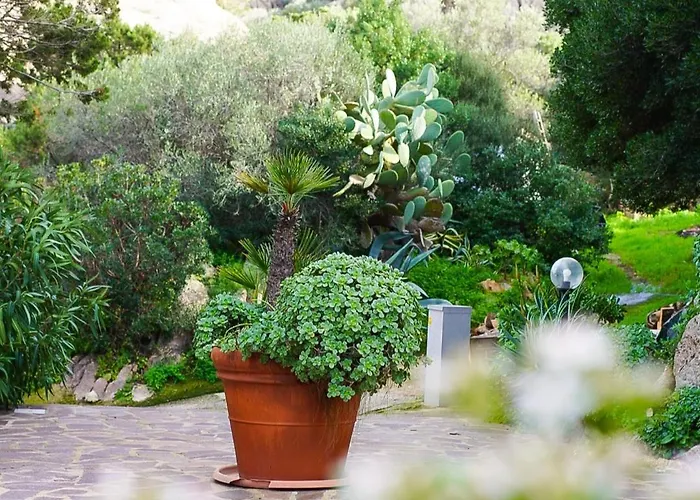 L'olivastro A 펜션 *