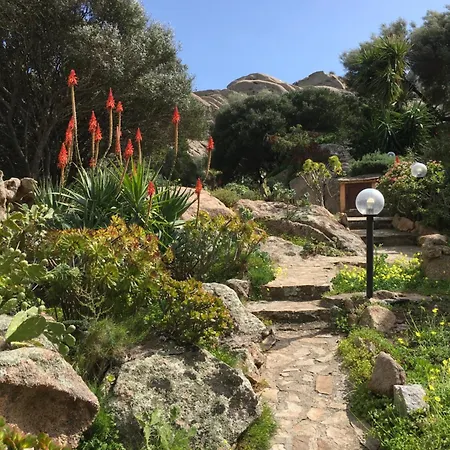 L'olivastro 1 * Porto Cervo