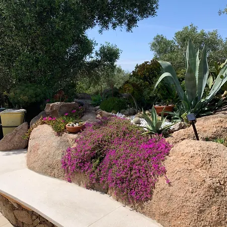 Holiday home L'olivastro 1
