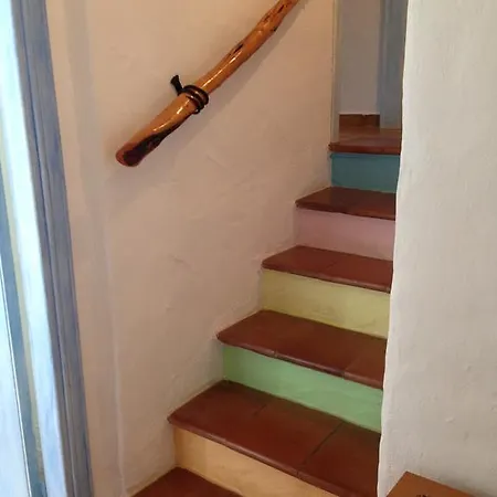 Holiday home L'olivastro 1